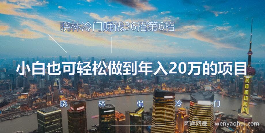 晓林冷门賺米36招第6招小白也可轻松做到年入20万的项目【视频课程】