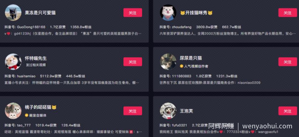 副业拍猫视频一公一母，日赚上万，人人可操作