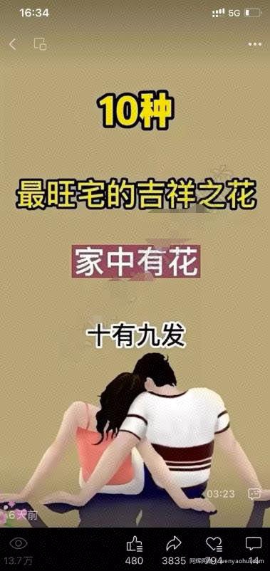 视频号项目拆解：抄作业也能爆单，单日带货4083元！
