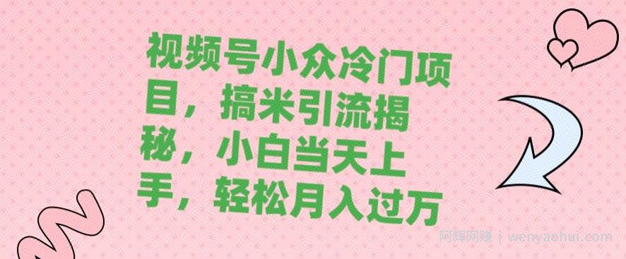 视频号小众冷门项目，搞米引流揭秘，小白当天上手，轻松月入过万