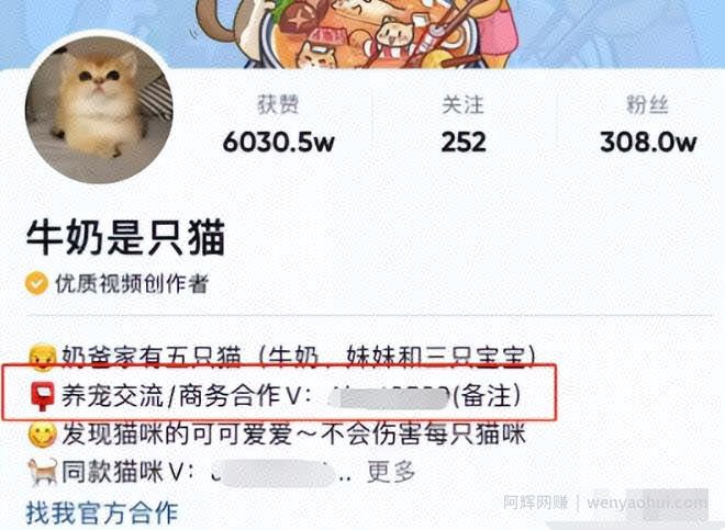 2023抖音賺米新风口，图文伙伴计划重启，草根翻身暴富的机会！