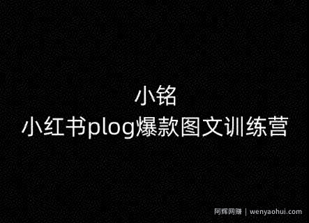 小铭-小红书plog爆款图文训练营，教你从0-1做小红书