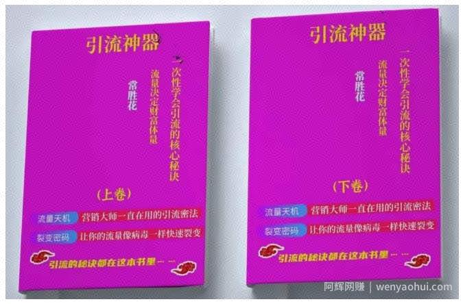 《引‮神流‬器》——上下册理论+实战一次‮学性‬会引流‮核的‬心秘诀，​价值10万‮流的‬量思维