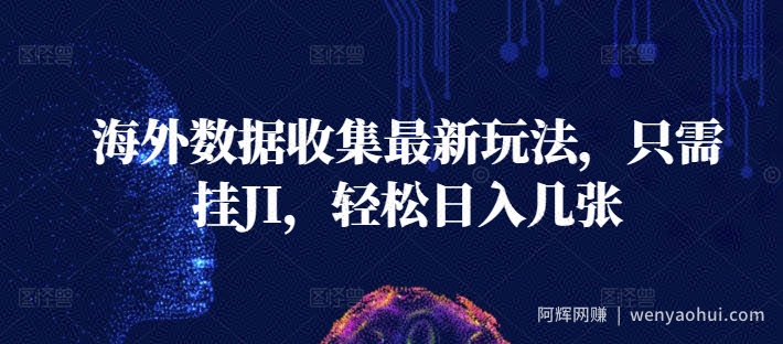 海外数据收集最新玩法，只需挂JI，轻松日入几张