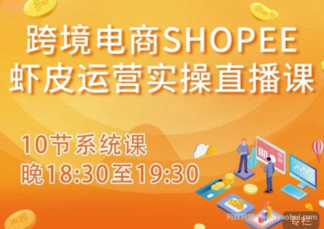 跨境电商Shopee虾皮运营实操直播课，从零开始学，入门到精通（10节系统课）