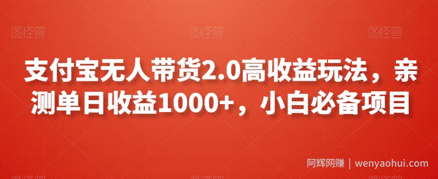 支付宝无人带货2.0高收益玩法，亲测单日收益1000+，小白必备项目【揭秘】