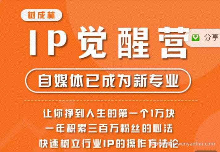 树成林·IP觉醒营，快速树立行业IP的操作方法论，让你赚到人生的第一个1万块（更新）