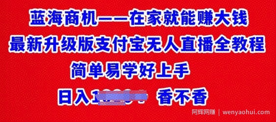 在家就能赚大钱最新升级版支付宝无人直播全教程，简单易学好上手
