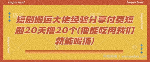 短剧搬运大佬经验分享付费短剧20天撸20个(他能吃肉我们就能喝汤)