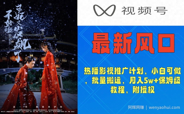 视频号最新风口，热播影视推广计划，小白可做，批量搬运，月入5w+保姆级教程，附授权