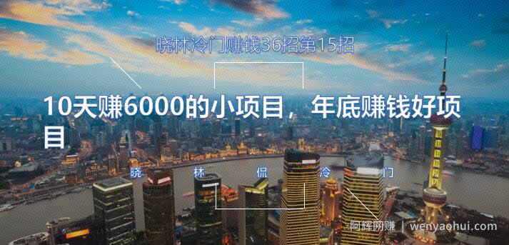 晓林冷门賺米36招第15招10天赚6000的小项目，年底賺米好项目【视频课程】