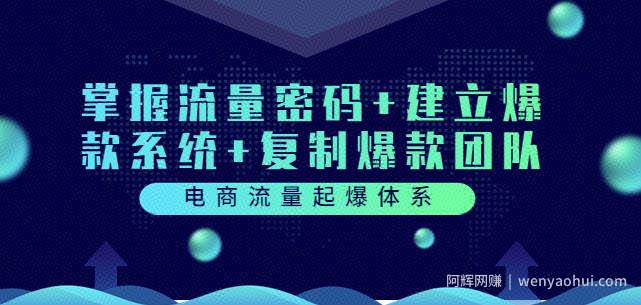 电商流量起爆体系：掌握流量密码+建立爆款系统+复制爆款团队（价值599）
