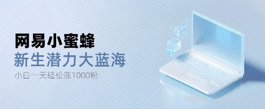网易小蜜蜂，最新大蓝海项目，单日轻松日涨千粉