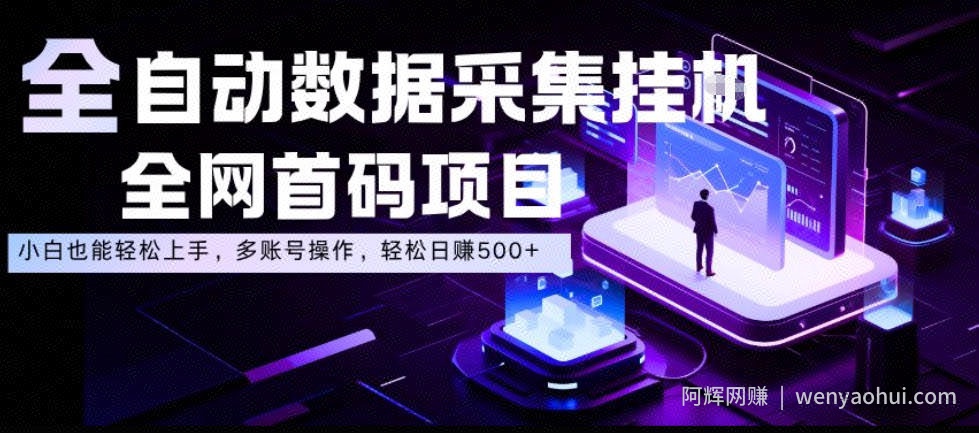 全自动数据采集挂G，全网首码项目，简单易操作，小白也能轻松上手，多账号操作，轻松日入500+【揭秘】
