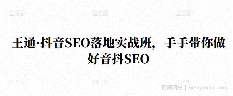 王通·抖音SEO落地实战班，手‬手带你做好音抖‬‬SEO
