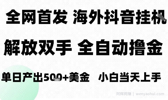 海外抖音无人直播，单日产出1.5k+，长期稳定，新手可玩，无脑操作【揭秘】