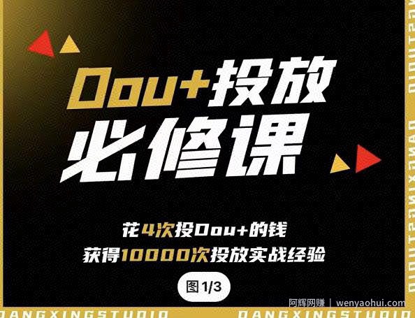 代同学DOU+投放训练营，用付费流量撬动大额自然流量，过得超额变现转化