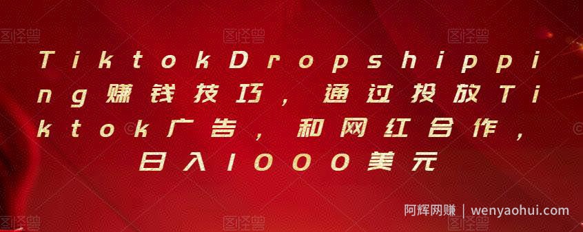 Tiktok Dropshipping賺米技巧，通过投放Tiktok广告，和网红合作，日入1000美元