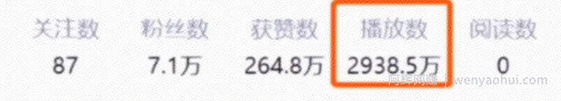 低成本宠物项目思路，单天300-500副业收入，适合所有人放大操作！