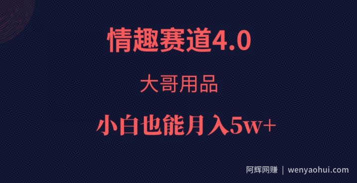 情趣赛道4.0，大哥用品，小白也能月入5w！