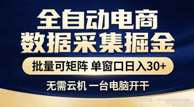 全自动电商数据集掘金，批量可矩阵，单窗口日入30+，无需云机，一台电脑开干【揭秘】