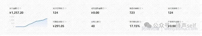 小红书虚拟电商掘金特训营第3期，从0到1带你玩小红书虚拟店铺