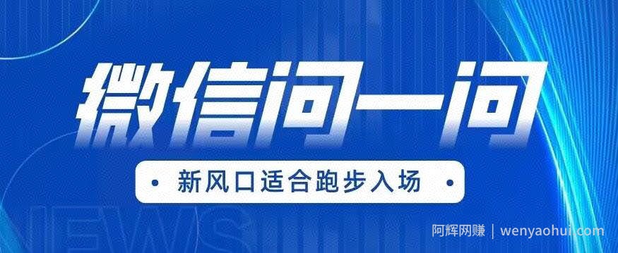 全网首发微信问一问新风口变现项目（价值1999元）【揭秘】