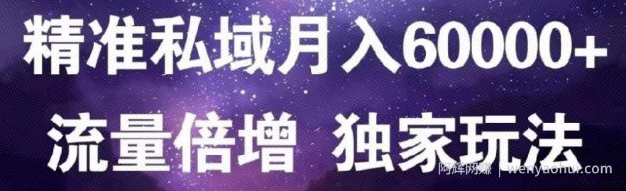 原力网创精准私域月入60000+,流量倍增独家玩法