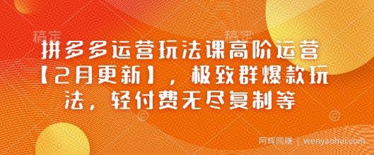 拼多多运营玩法课高阶运营【2月更新】，极致群爆款玩法，轻付费无尽复制等