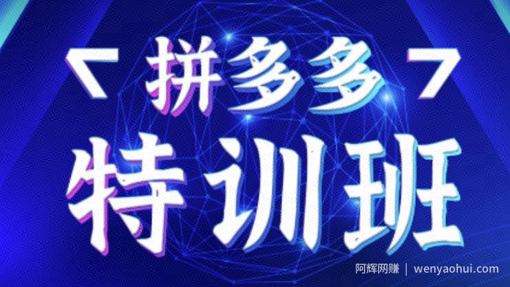 星雪教育·拼多多基础班+进阶班+突破班，用系统的学习模式快速改变现状价值3580元