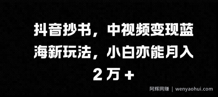 抖音抄书，中视频变现蓝海新玩法，小白亦能月入 过W【揭秘】