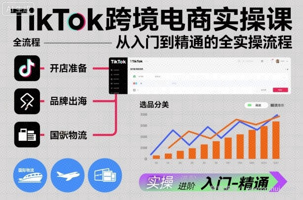 TikTok跨境电商实操课，从入门到精通的全实操流程