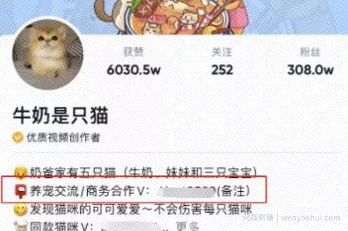 抓住抖音新风口，搬运发图片，做好物种草也能月入20000+！