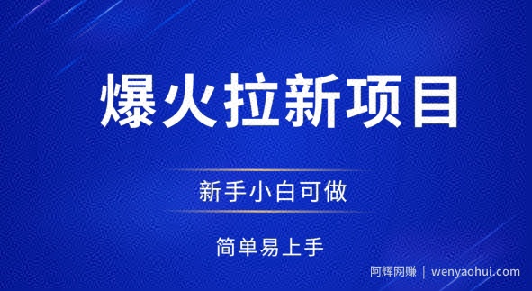 爆火拉新项目，有手就行，小白轻松入门，日入1张拉新整套流程