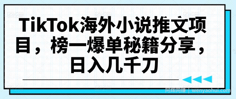 TikTok海外小说推文项目，榜一爆单秘籍分享，日入几千刀
