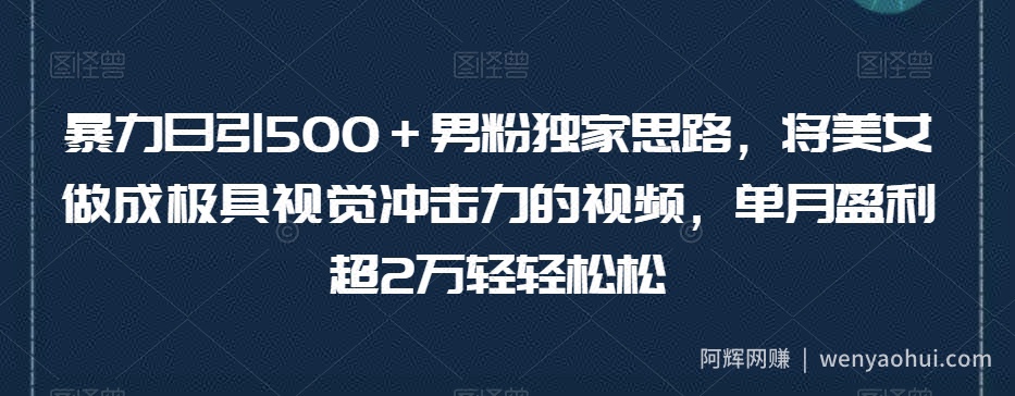 暴力日引500＋男粉独家思路，将美女做成极具视觉冲击力的视频，单月盈利超2万轻轻松松