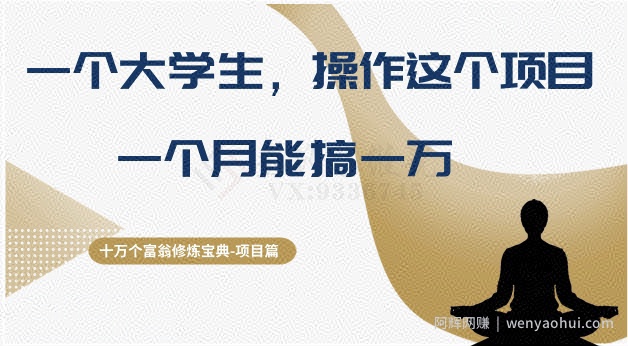 十万个富翁修炼宝典之4.一个大学生操作这个项目，一个月能搞一万