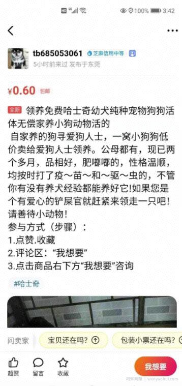 网创项目：一个闲鱼引流，微信成交的绝对暴利项目！