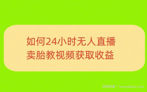 一单利润19.9.24小时无人直播胎教故事，每天轻松200+