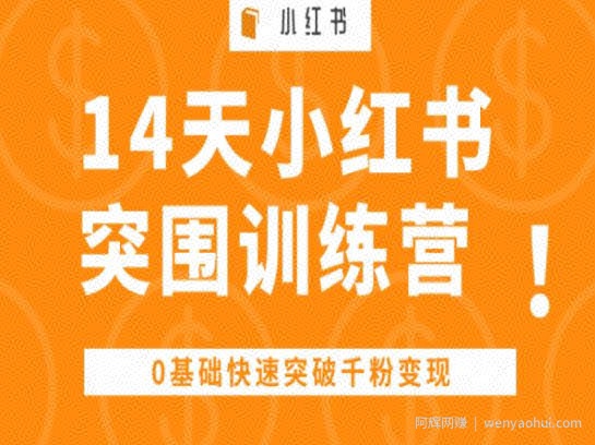 14天小红书突围训练营 ，0基础快速突破千粉变现