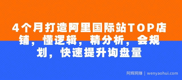 4个月打造阿里国际站TOP店铺，懂逻辑，精分析，会规划，快速提升询盘量