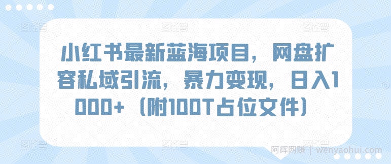 小红书最新蓝海项目，网盘扩容私域引流，暴力变现，日入1000+（附100T占位文件）【揭秘】