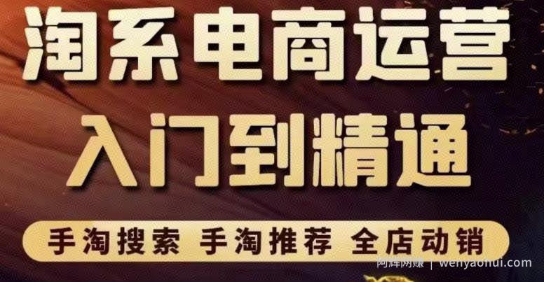 淘系电商入门到精通手淘搜索，手淘推荐，全店动销（价值1099元）