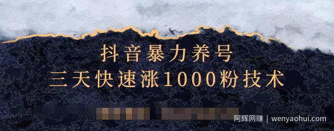 抖音暴力养号，三天快速涨1000粉技术【视频课程】
