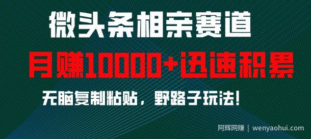 微头条相亲赛道，迅速积累，无脑复制粘贴，野路子玩法，月入1w