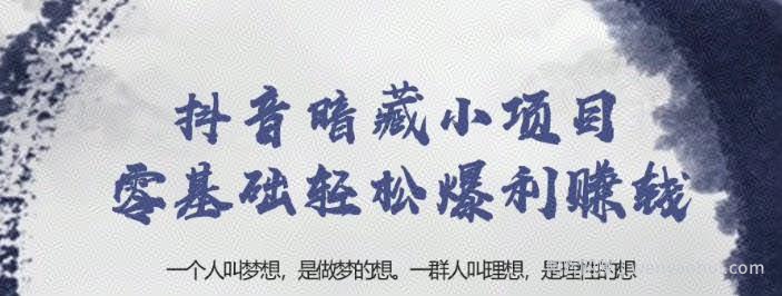 忠余网创32计第二十二计：抖音暗藏小项目零基础轻松暴利賺米【视频课程】