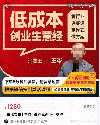 王岑·低成本创业生意经，从8个点深度剖析低成本成功案例，让广大创业者不再迷茫