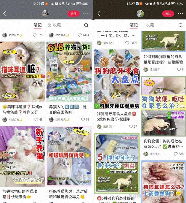 长期稳定玩法，副业每月收益6000+，小红书宠物赛道！