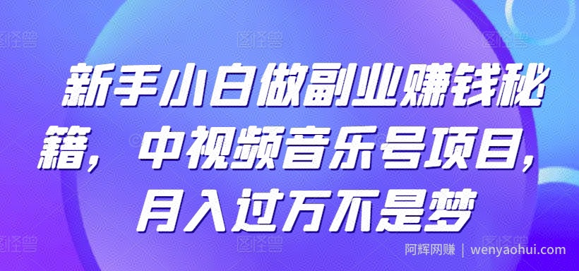 新手小白做副业賺米秘籍，中视频音乐号项目，月入过万不是梦