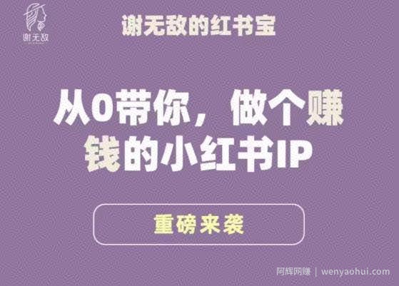 谢无敌·小红书运营大宝典，从0带你做个賺米的小红书IP